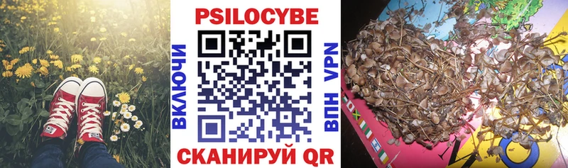 где найти наркотики Плавск Галлюциногенные грибы мухоморы